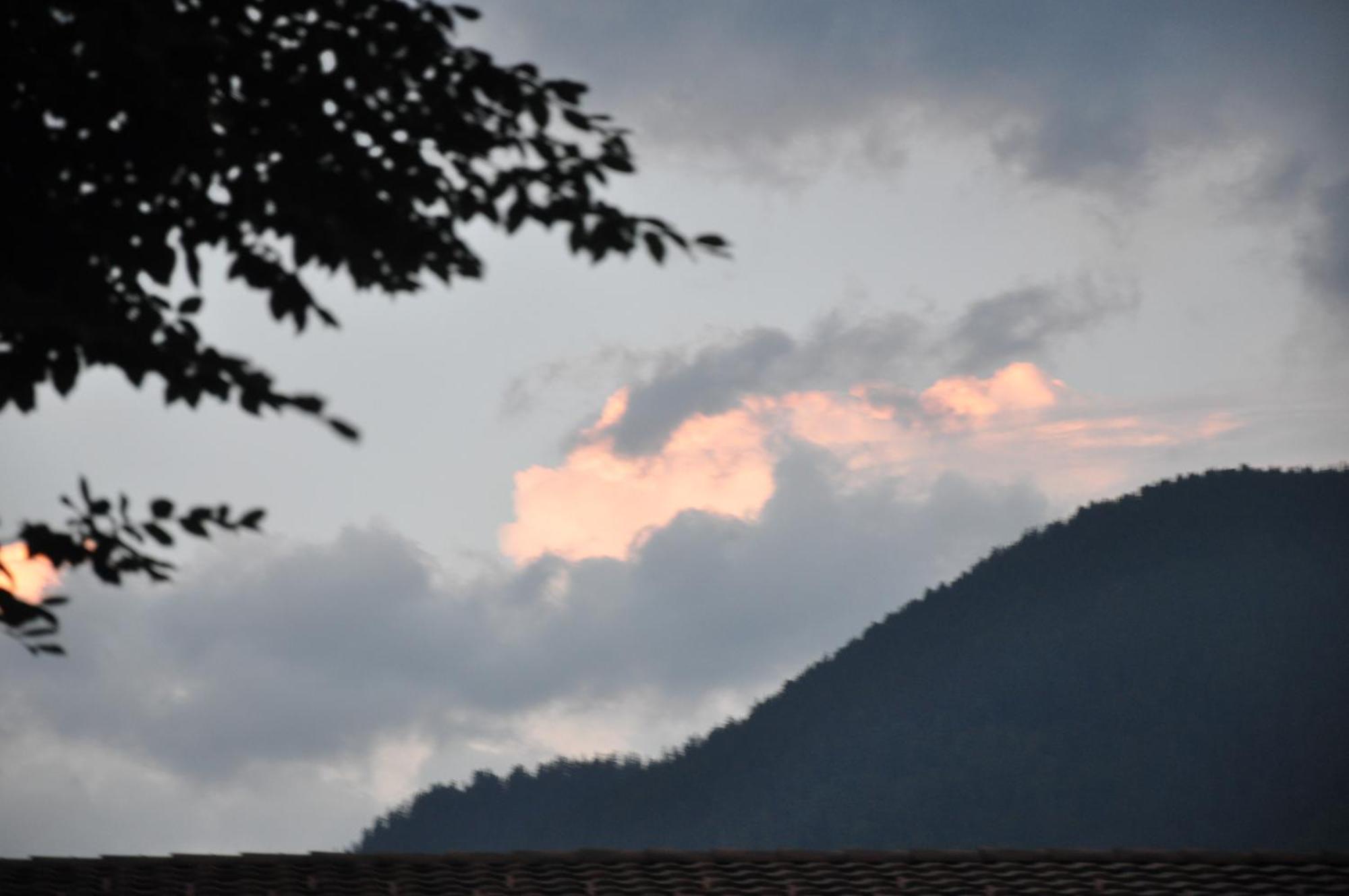 Ferienwohnungen Alter Raaben Ruti  ภายนอก รูปภาพ
